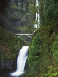 Multnomah Falls, Columbia Gorge National Scenic Area, Oregon, USA Photographic Print by Charles Gurche