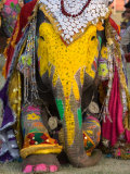 Elephant Festival, Jaipur, Rajasthan, India Photographic Print by Philip Kramer