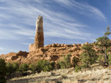 Sand Pipe at Kodachrome Basin State Park, Utah, USA Photographic Print by Diane Johnson