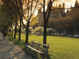 Midway Plaisance at University of Chicago, Chicago, Illinois, USA Photographic Print by Alan Klehr