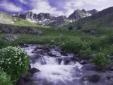 Wildflowers, Ouray, San Juan Mountains, Rocky Mountains, Colorado, USA Lámina fotográfica por Rolf Nussbaumer
