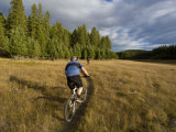 Mountain Biker, Pig Farm Trails, Stillwater State Forest, Montana, USA Photographic Print by Chuck Haney