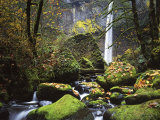 Elowah Falls, John B. Yeon State Park, Columbia River Gorge, Oregon, USA Photographic Print by Charles Gurche