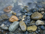 Rocks at edge of river, Eagle Falls, Snohomish County, Washington State, USA Fotografie-Druck von Corey Hilz