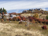 Grayson Highlands State Park, Virginia, USA Photographic Print by Diane Johnson