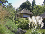 Tea House in Winter Season, Kyoto, Japan Photographic Print by Shin Terada
