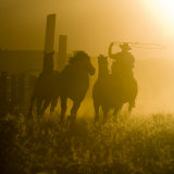 Silhouette of a Wrangler Roping Horses, Ponderosa Ranch, Seneca, Oregon, USA Photographic Print by Wendy Kaveney