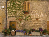 Montefollonico, Val D'Orcia, Siena Province, Tuscany, Italy Photographic Print by Sergio Pitamitz