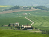 Countryside, Val D'Orcia, Siena Province, Tuscany, Italy Photographic Print by Sergio Pitamitz