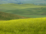 Countryside, Val D'Orcia, Siena Province, Tuscany, Italy Photographic Print by Sergio Pitamitz
