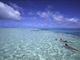 Aitutaki, Cook Islands Photographic Print by Douglas Peebles