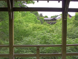 Fresh Green in Frame, Kyoto, Japan Photographie par Shin Terada