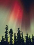 Aurora Borealis, Fairbanks Area, Alaska, USA Photographic Print by Kevin Schafer