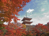 Pagoda in Autumn Color, Kyoto, Japan Photographic Print by Shin Terada