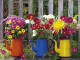 Antique Enamelware Coffeepots, Portland, Oregon, USA Photographic Print by Steve Terrill