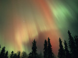 Aurora Borealis, Fairbanks Area, Alaska, USA Photographic Print by Kevin Schafer