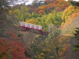 Cable Railway, Kyoto, Japan Photographic Print by Shin Terada