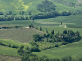 Countryside, Val D'Orcia, Siena Province, Tuscany, Italy Photographic Print by Sergio Pitamitz