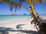 Palm shadow on Lanikai Beach, Mokulua islands, Hawaii Photographic Print by Douglas Peebles