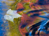 Floating Maple Leaf, Bond Falls, Upper Peninsula, Michigan, USA Fotografie-Druck von Nancy Rotenberg