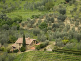Countryside, Val D'Orcia, Siena Province, Tuscany, Italy Photographic Print by Sergio Pitamitz
