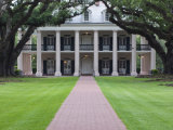 Oak Alley Plantation, Vacherie, St. James Parish, Louisiana, USA Lámina fotográfica por Rob Tilley Oak Alley Plantation, Vacherie, St. James Parish, Louisiana, USA Lámina fotográfica por Rob Tilley