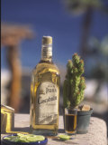 Tequila, Cabo San Lucas, Baja California, Mexico Photographic Print by Douglas Peebles Tequila, Cabo San Lucas, Baja California, Mexico Photographic Print by Douglas Peebles