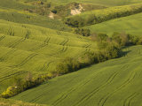 Countryside, Val D'Orcia, Siena Province, Tuscany, Italy Photographic Print by Sergio Pitamitz