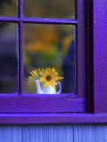 Window with Sunflowers in Vase Photographic Print by Steve Terrill