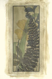 Woodland Fern Forest IV Pósters por Jennifer Goldberger