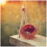 Swing and Nest Prints by Mandy Lynne