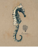 Regina-Andrew Design - Vintage Linen Seahorse - Tablo
