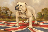 The British Bulldog Posters