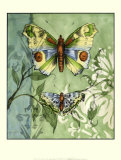 Embellished Vibrant Butterflies I Prints by Jennifer Goldberger