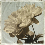 Antiqued Floral and Sky I Prints by Megan Meagher