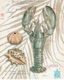 Aqua Lobster Láminas por Chad Barrett Aqua Lobster Láminas por Chad Barrett