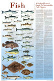 A Seafood Lover's Guide to Sustainable Fish Choices Julisteet tekijänä Brenda Gillespie A Seafood Lover's Guide to Sustainable Fish Choices Julisteet tekijänä Brenda Gillespie