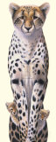 Mirada oculta Pósters por Warwick Higgs Mirada oculta Pósters por Warwick Higgs