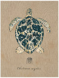Vintage Linen Tortoise Affiches par Regina-Andrew Design 