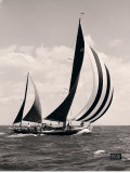 Bloodhound's Sails Posters