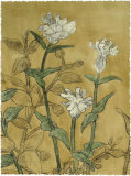 Etched Floral I Pósters por Megan Meagher Etched Floral I Pósters por Megan Meagher