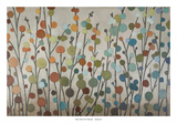 Seasons Posters by Sally Bennett Baxley