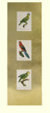 Parrot Panel II Posters par Jacques Barraband