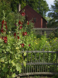 Mission House, Stockbridge, Berkshires, Massachusetts, USA Photographic Print by Lisa S. Engelbrecht