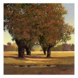 Allee en Greenbrier Giclee Print by Max Hayslette