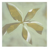 Close Up 4 Giclee Print by David Dauncey