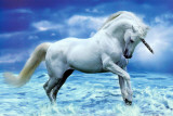 Licorne Affiche