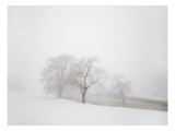 White Fog No. 1 Giclee Print by Stan Shire