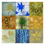 Creation I Giclee Print by David Dauncey