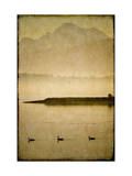 Morning Migration Giclee Print by Doug Landreth